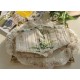 Miss Point Through Your Bloom Corset(Reservation/Full Payment Without Shipping)